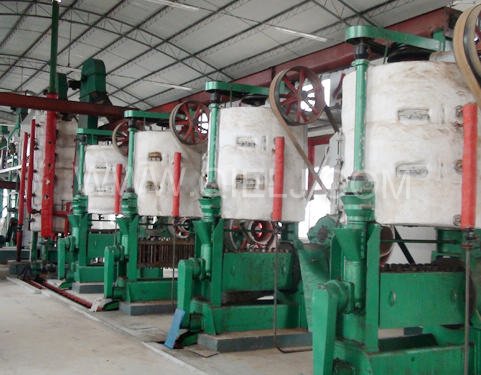10T/D-800T/D高含油料預榨成套設備(圖2) 10T/D-800T/D高含油料預榨成套設備(圖2)